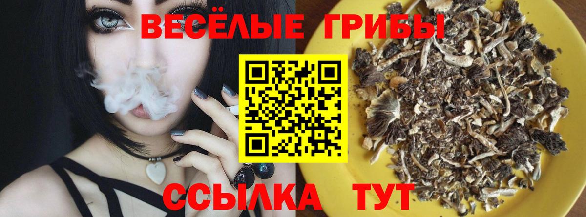 Семилуки  Псилоцибиновые грибы прущие грибы  Вход с VPN 
